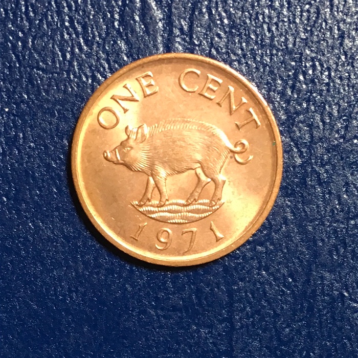 Post-Your-Coins-Representing-The-Animal-Kingdom.