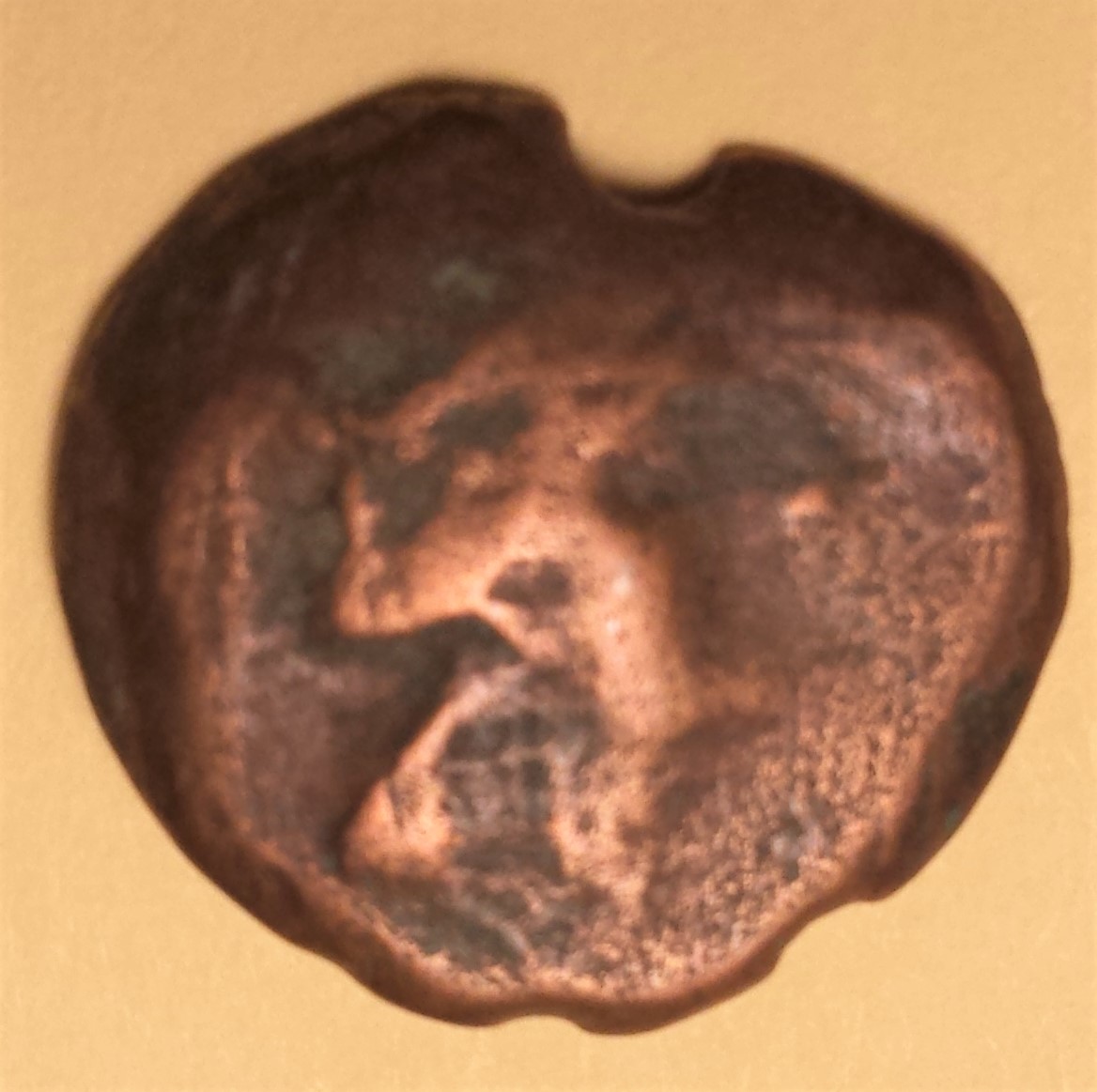 Help-With-Identification-#4
