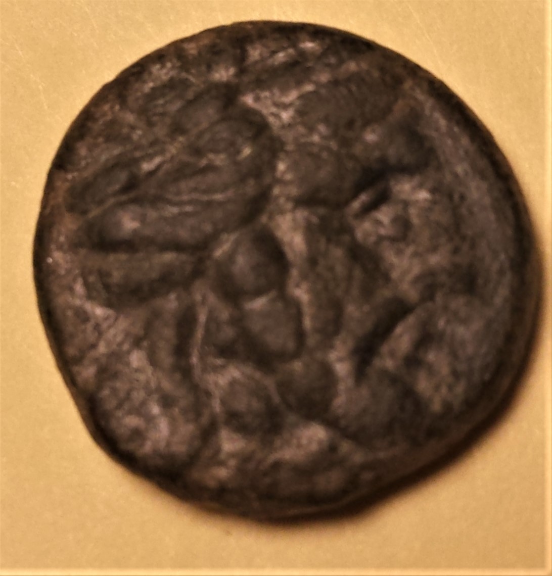 Help-With-Identification-#5