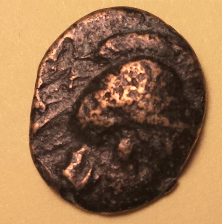 Help-With-Identification-#3