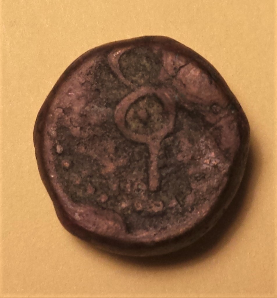 Help-With-Identification-#2