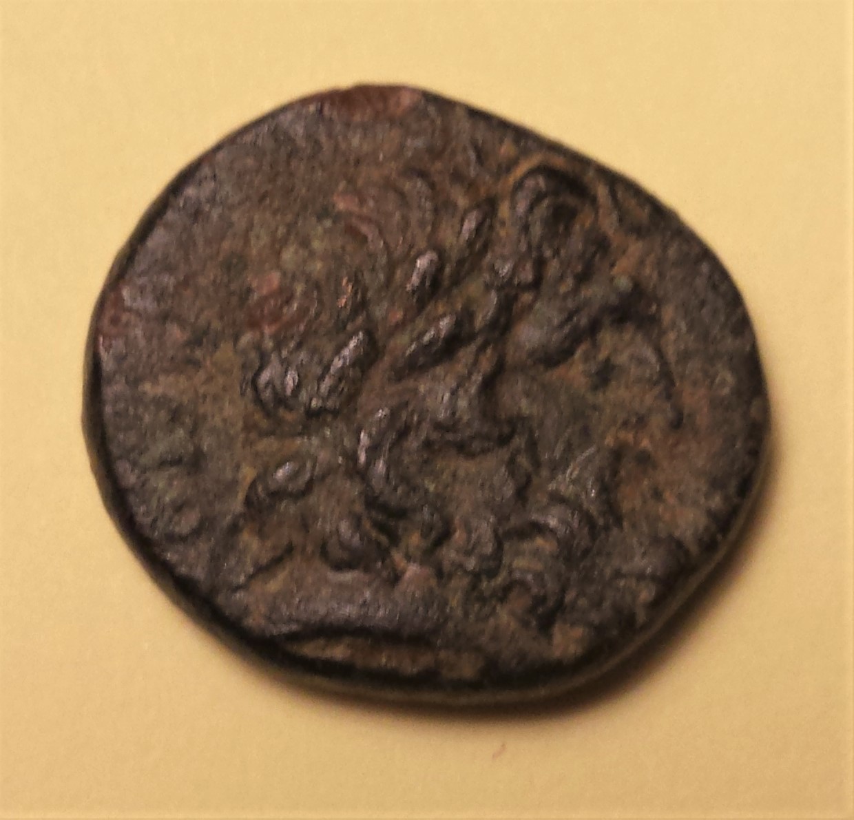 Help-With-Identification