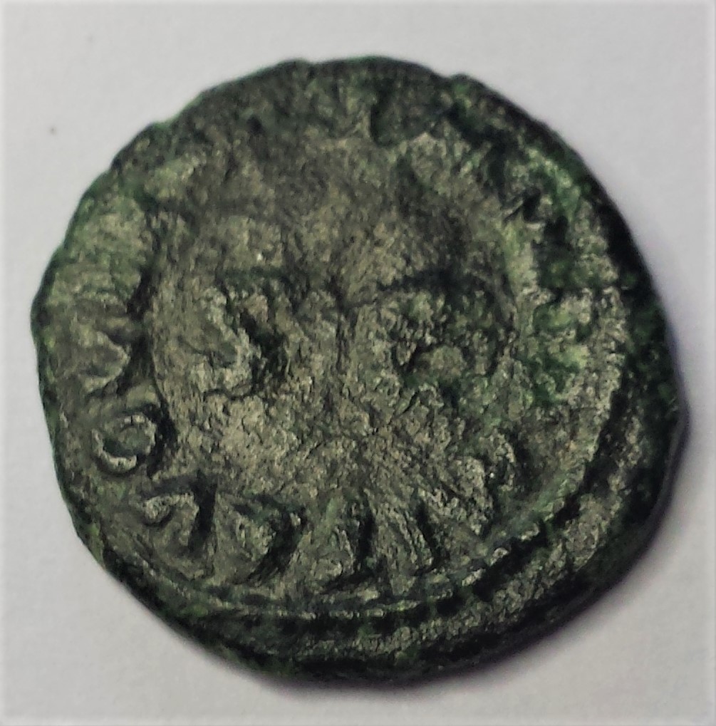 My-First-Animal-On-A-Coin.