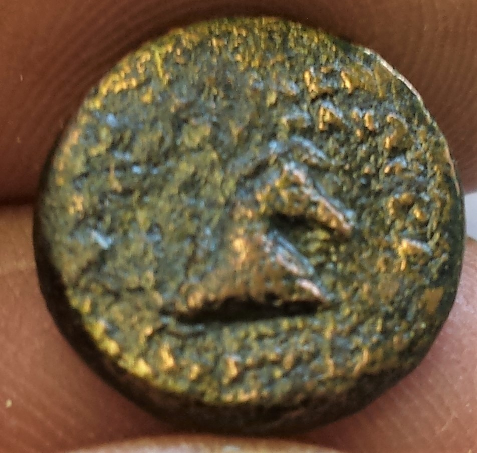 Can-Anyone-Identify-This-Greek?-Coin?