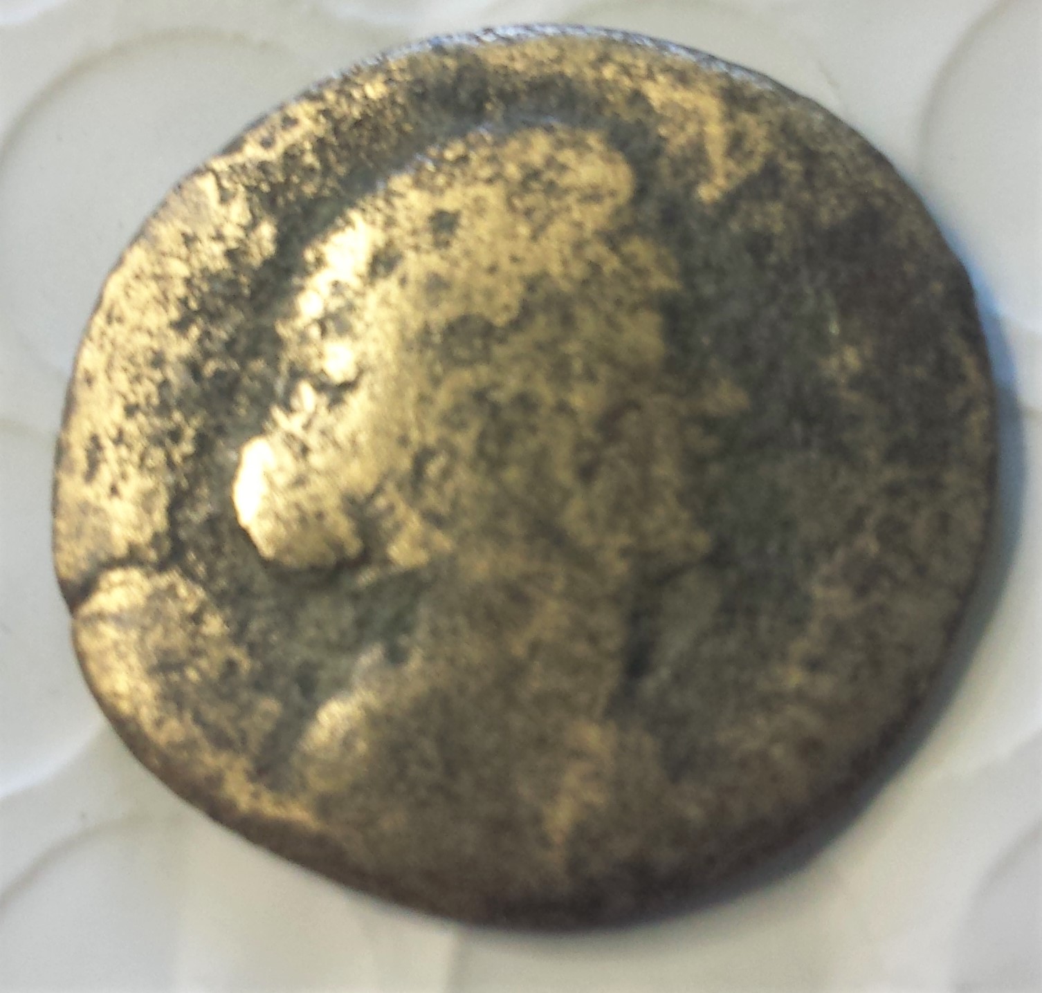 Is-This-Coin-A-Crispina,-Why-Can't-I-Find-It-In-Wildwinds?
