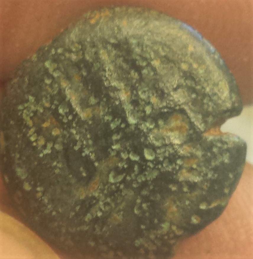 Needing-Help-Identifying-Two-Greek-