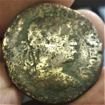 Is-This-A-Pegasus-On-The-Reverse-Of-This-Coin?