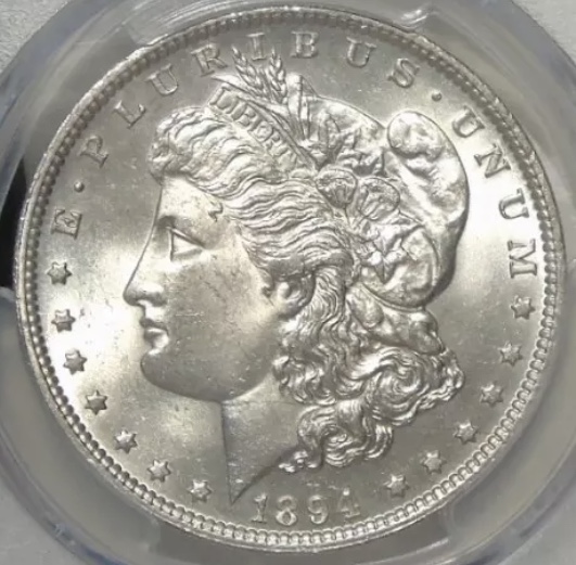 1894-Morgan-Silver-Dollar---What's-Your-Grade?