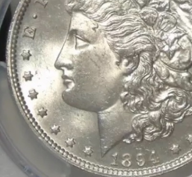 1894-Morgan-Silver-Dollar---What's-Your-Grade?