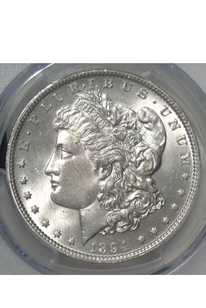 1894-Morgan-Silver-Dollar---What's-Your-Grade?