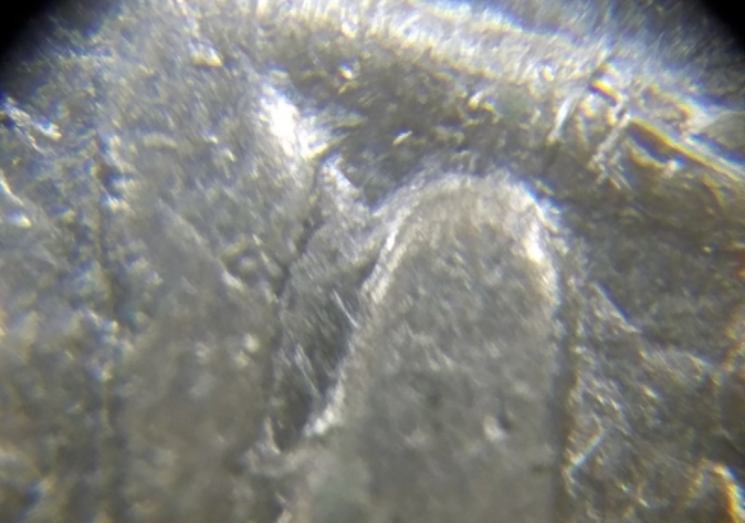 1979-Nickel-Obverse-Close-AM