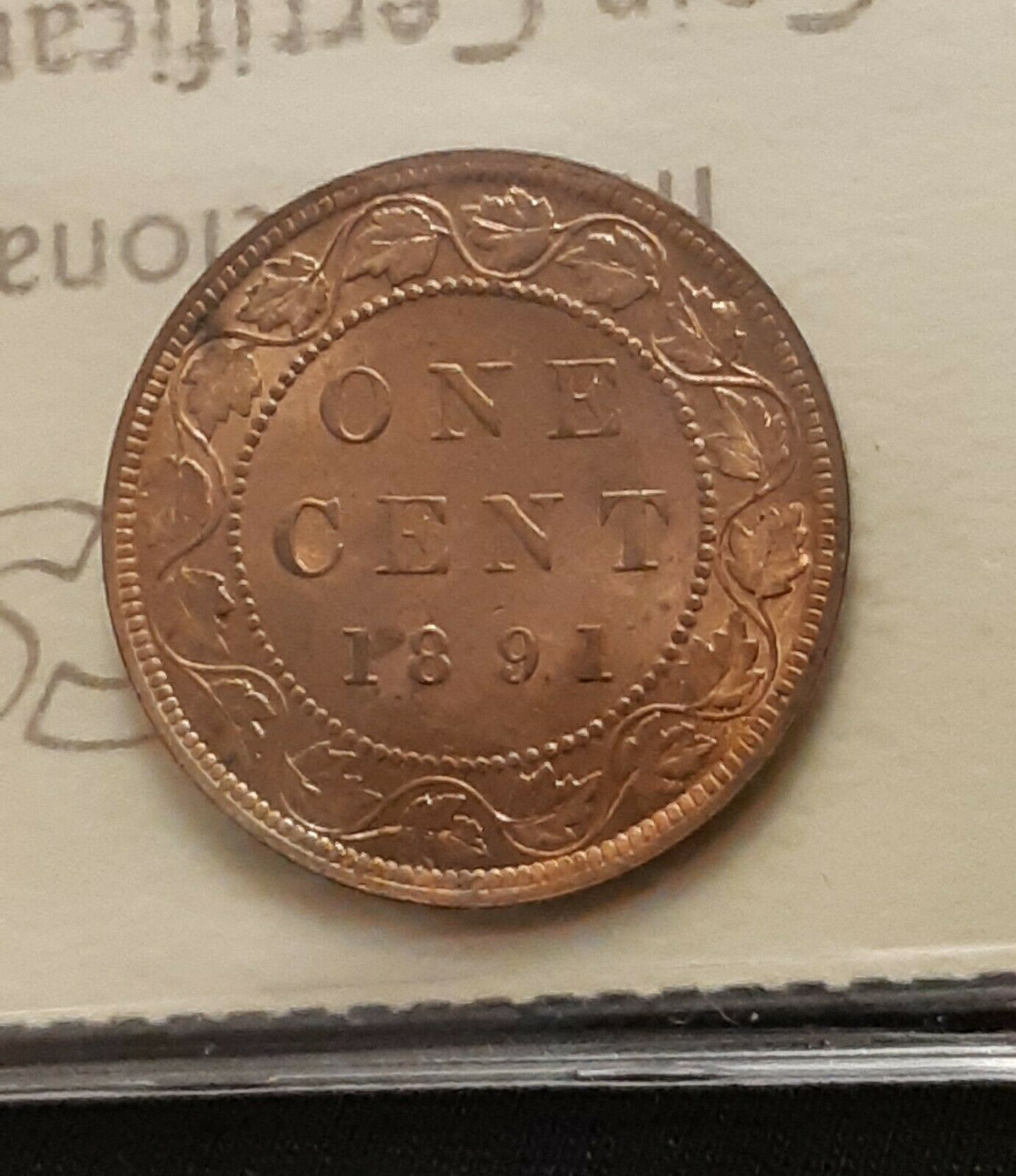 The-'Spanish'-1891-SDLL-OBV2-Coin-Surfaces-Again...