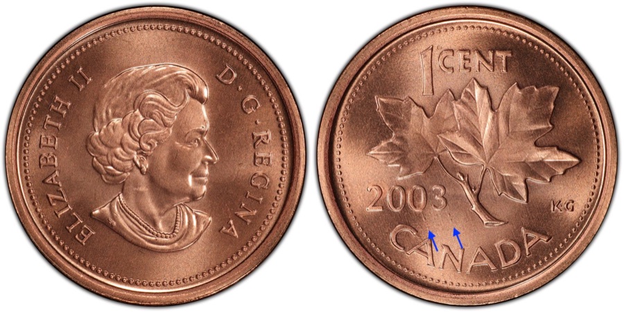 Is-This-A-Long-Die-Chip?-Or-Would-It-Be-A-Cud?