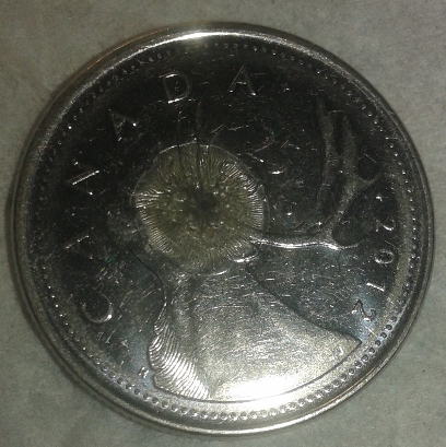 New-Pic-2012-Quarter-Poppy-Over-Cariboo-I-Think-What-Do-You-Think?