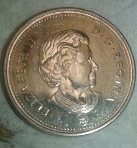 New-Pic-2012-Quarter-Poppy-Over-Cariboo-I-Think-What-Do-You-Think?