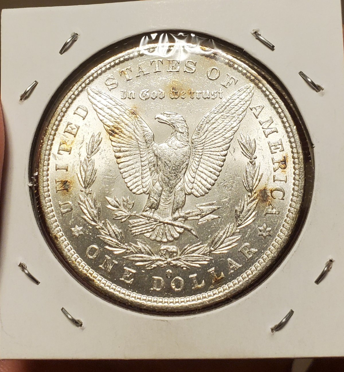 1879-O-Morgan-Dollar-Worth-Having-Graded-By-A-TPG?
