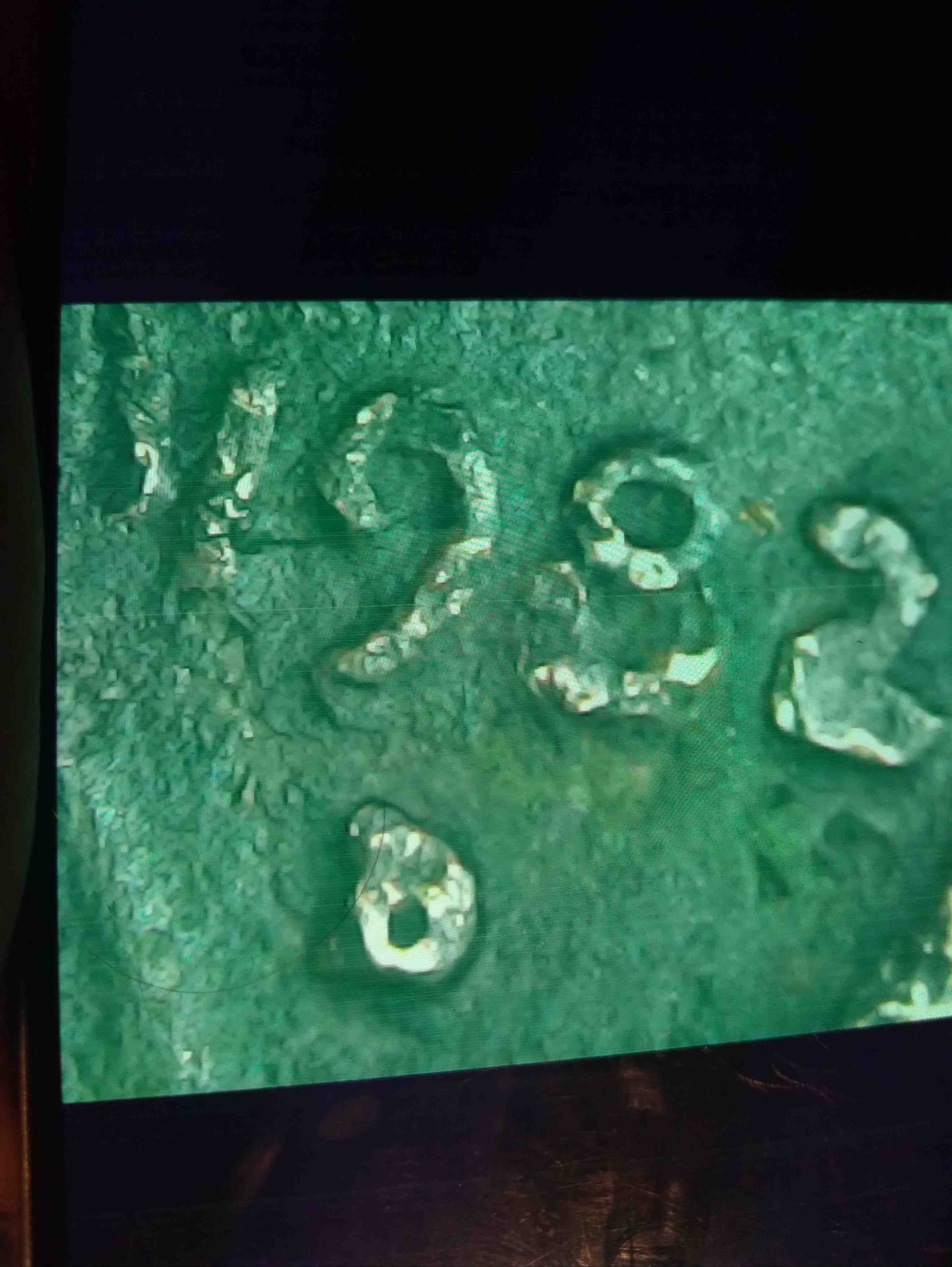 Trying-To-Verify-1982-Small-Date