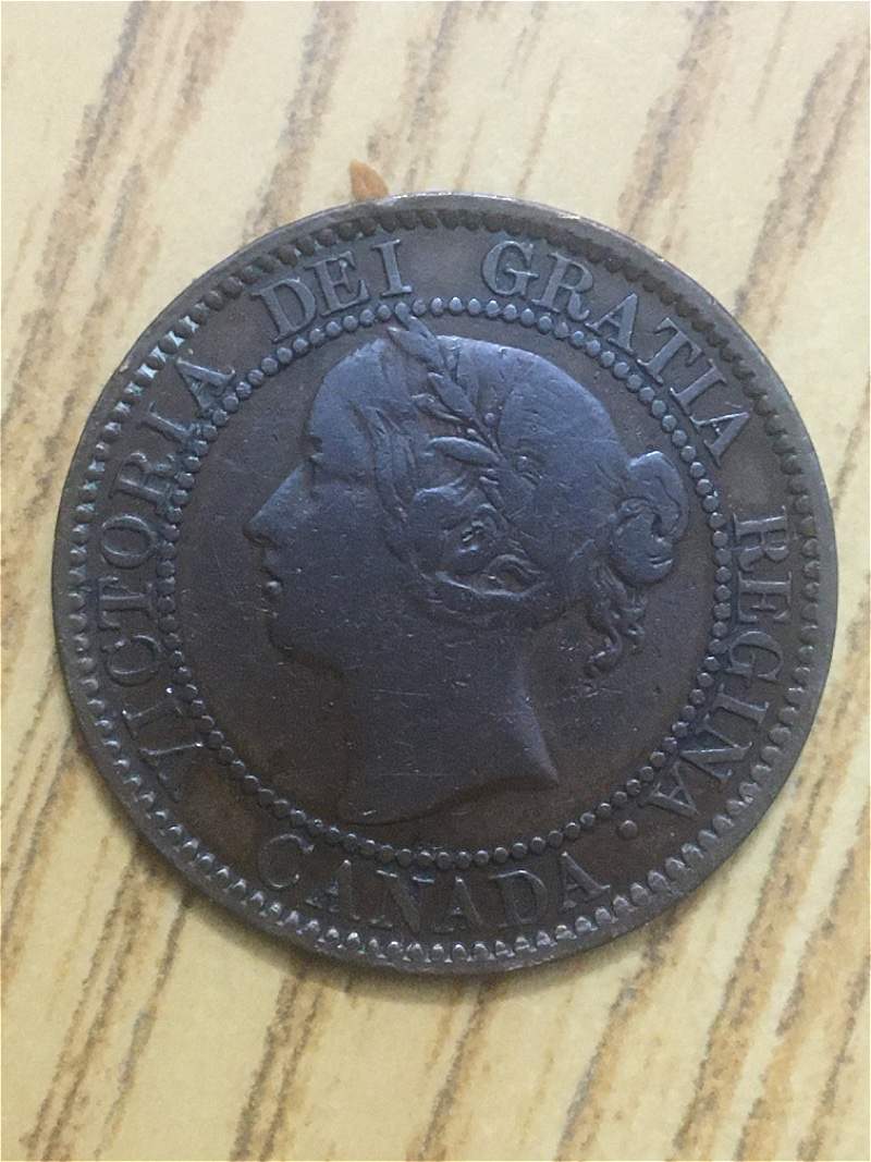 Please-Grade-My-Large-Cents