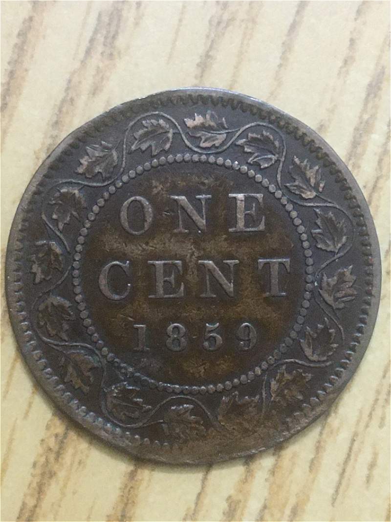 Please-Grade-My-Large-Cents