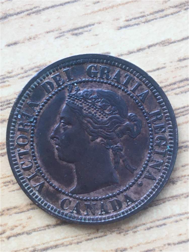 1882-Large-Cent-For-Grading