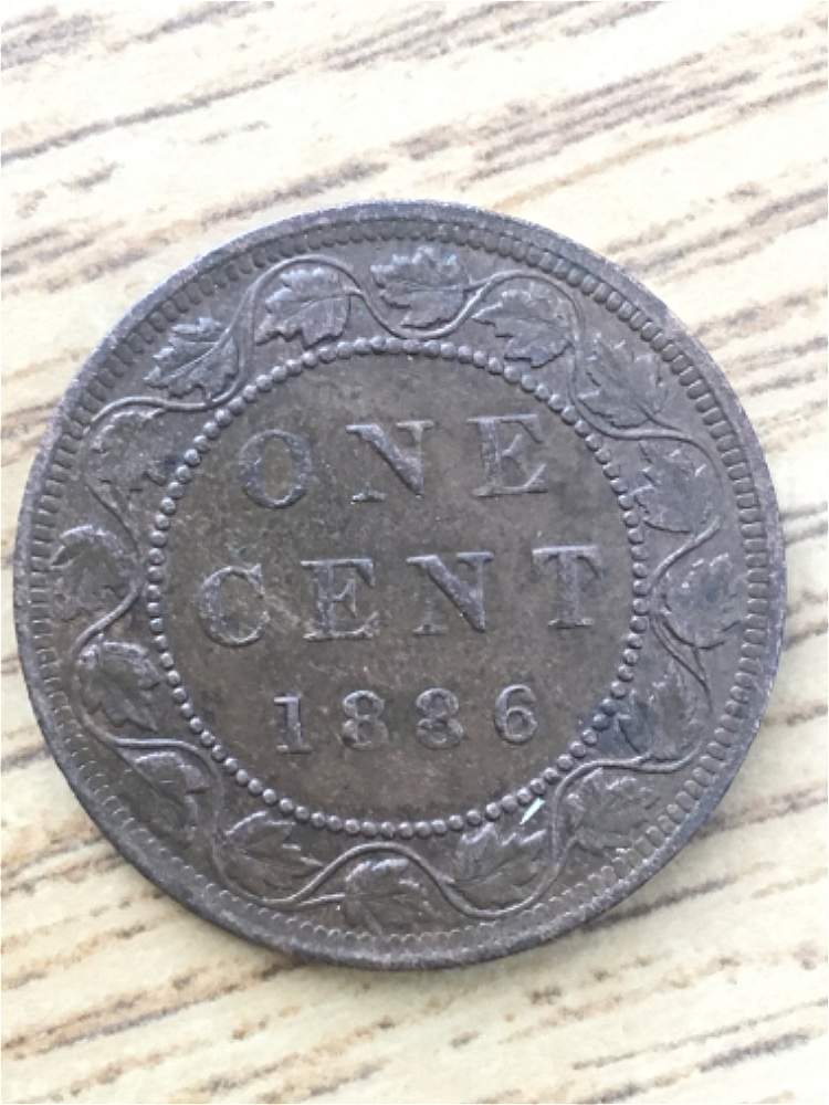 1886-Large-Cent-For-Grading