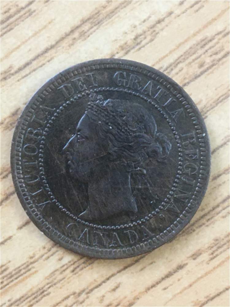 1891-Cent-Please-Grade