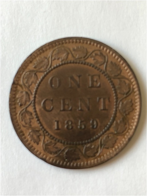 Please-Grade-This-1859-Large-Cent