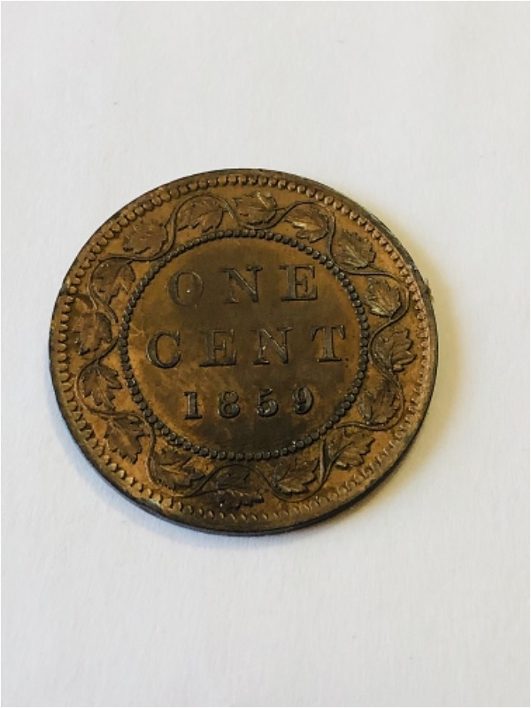 Please-Grade-This-1859-Large-Cent
