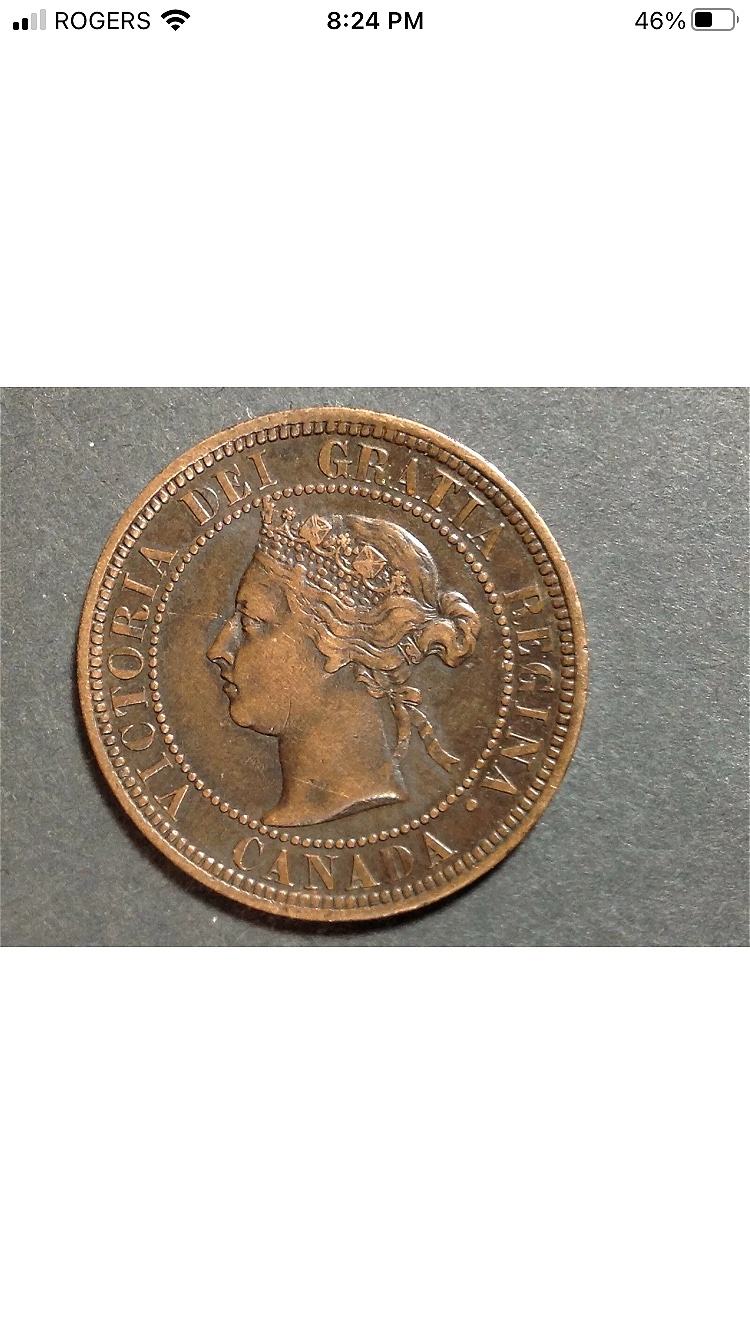 Please-Grade-1891-Large-Cent