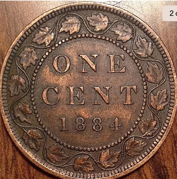 Help-With-Grade-On-A-1884-C1-Obv