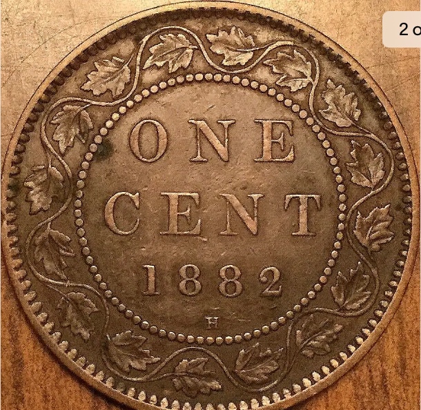 Please-Grade-This-1882-Large-Cent