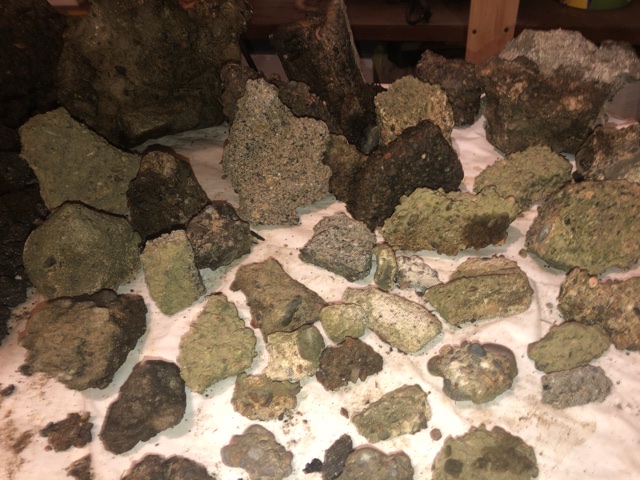 Back-Yard-Treasure-Or-Not-?