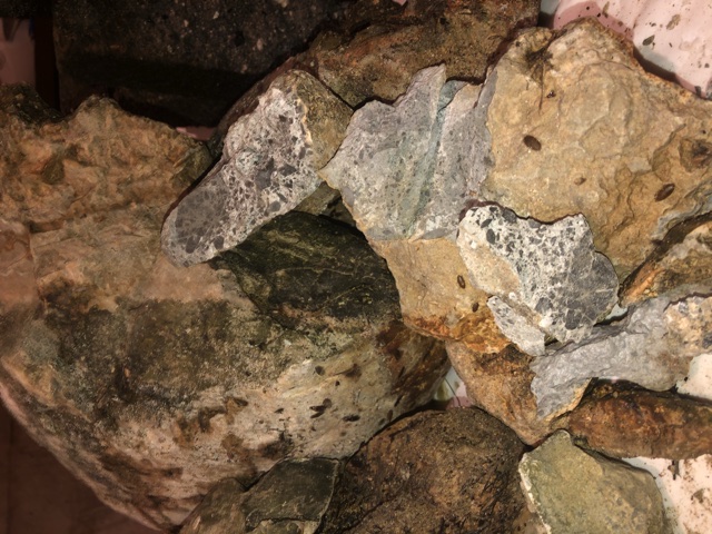 Back-Yard-Treasure-Or-Not-?