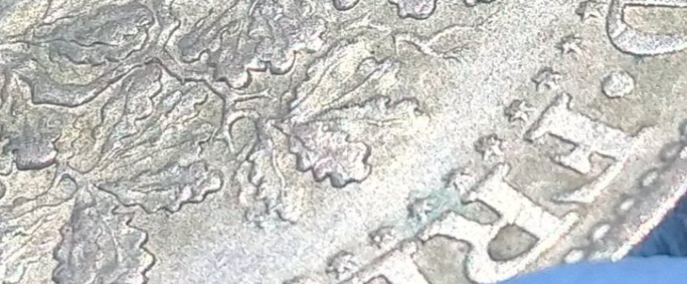Conservation-Needed-Here-Or-False-ID-On-PVC?-1931-5-Reichsmark