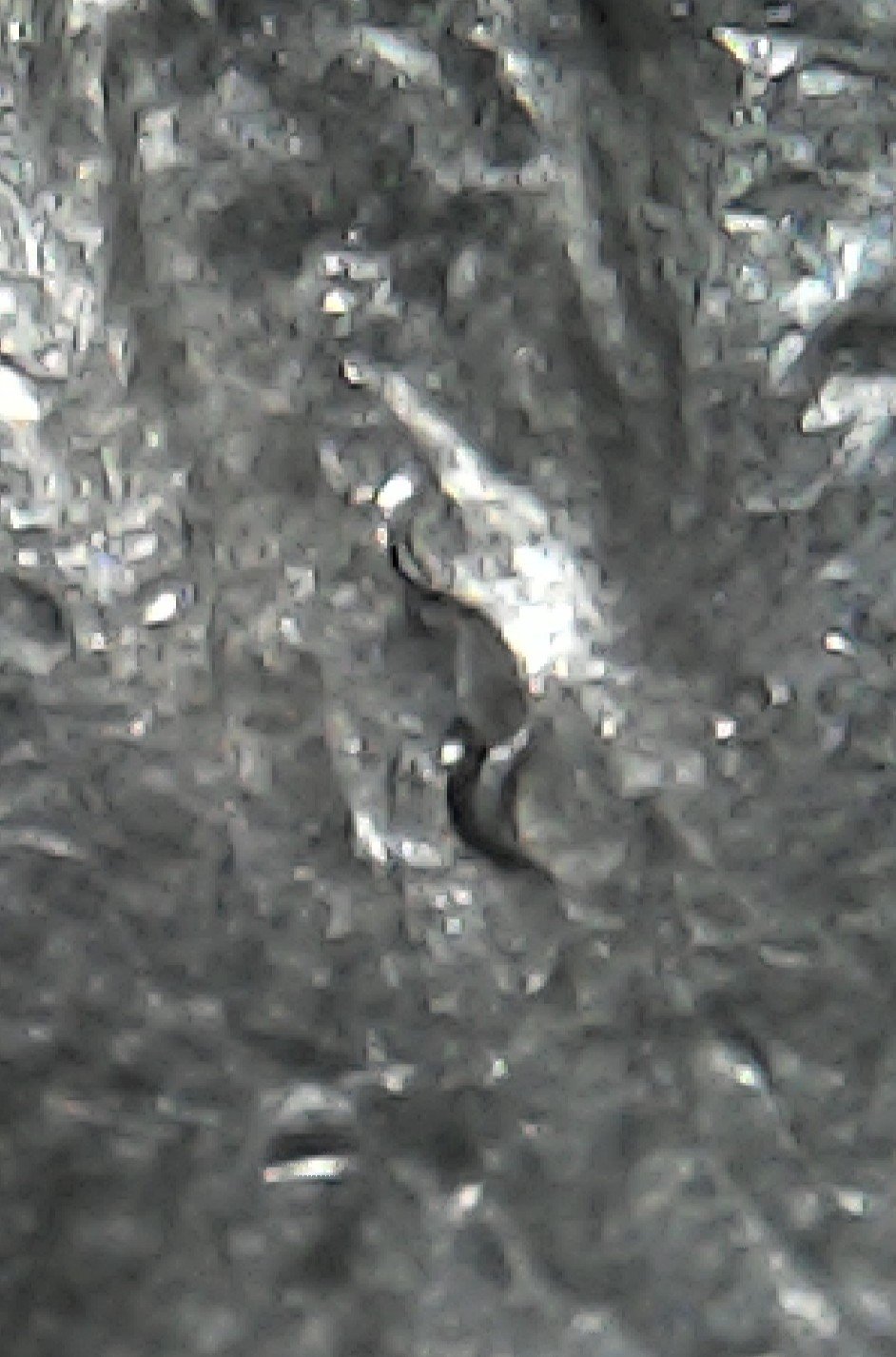 1973--Quarter--With-A-Wavey-Line-On-The-Eagles-Chest-Between-Legs-Is-It-A-Die-Crack