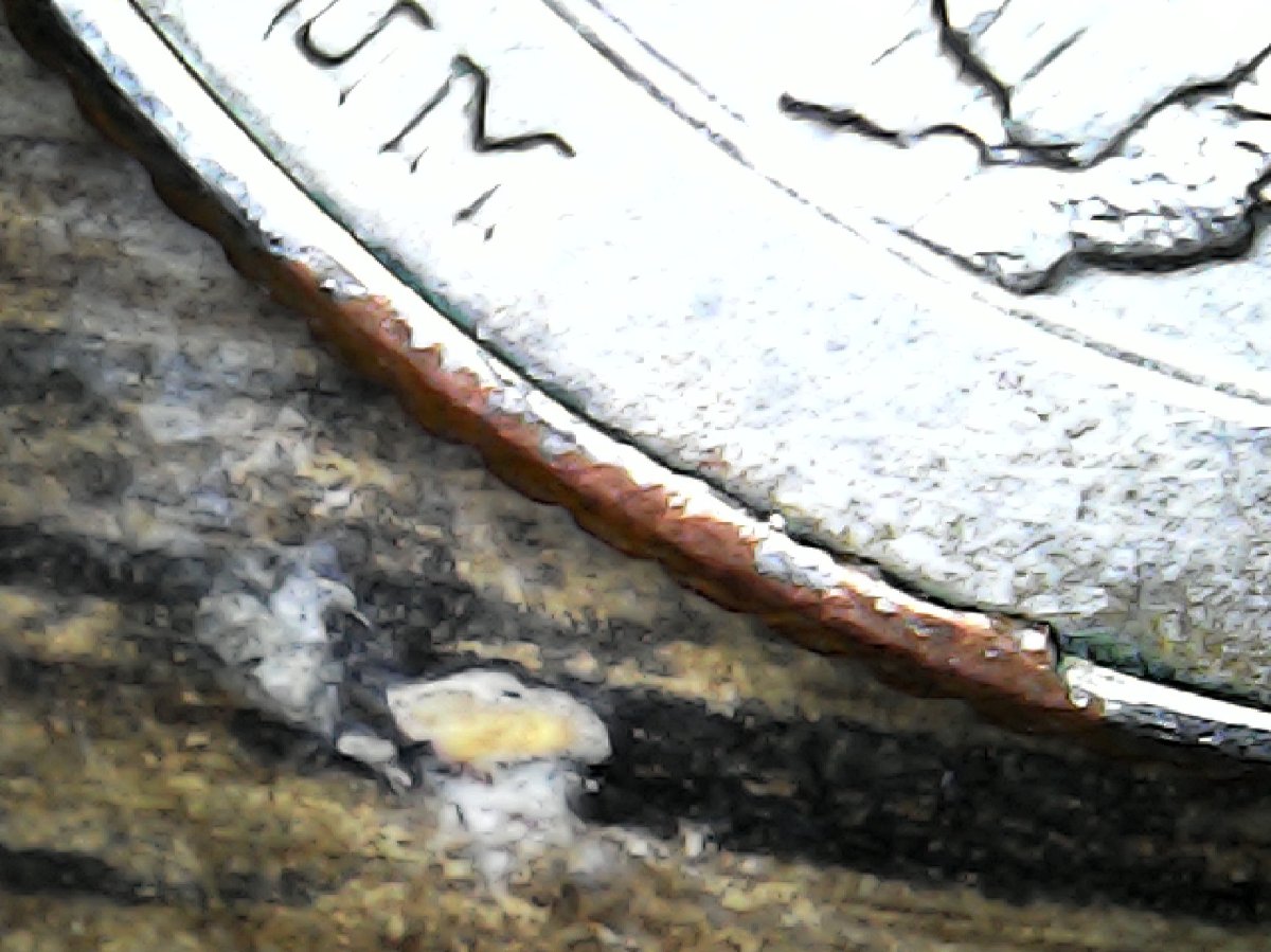 2018-Quarter-Mad-On-The-Obverse-Struck-Through-Retained-Copper-Foil-On-The-Reverse?