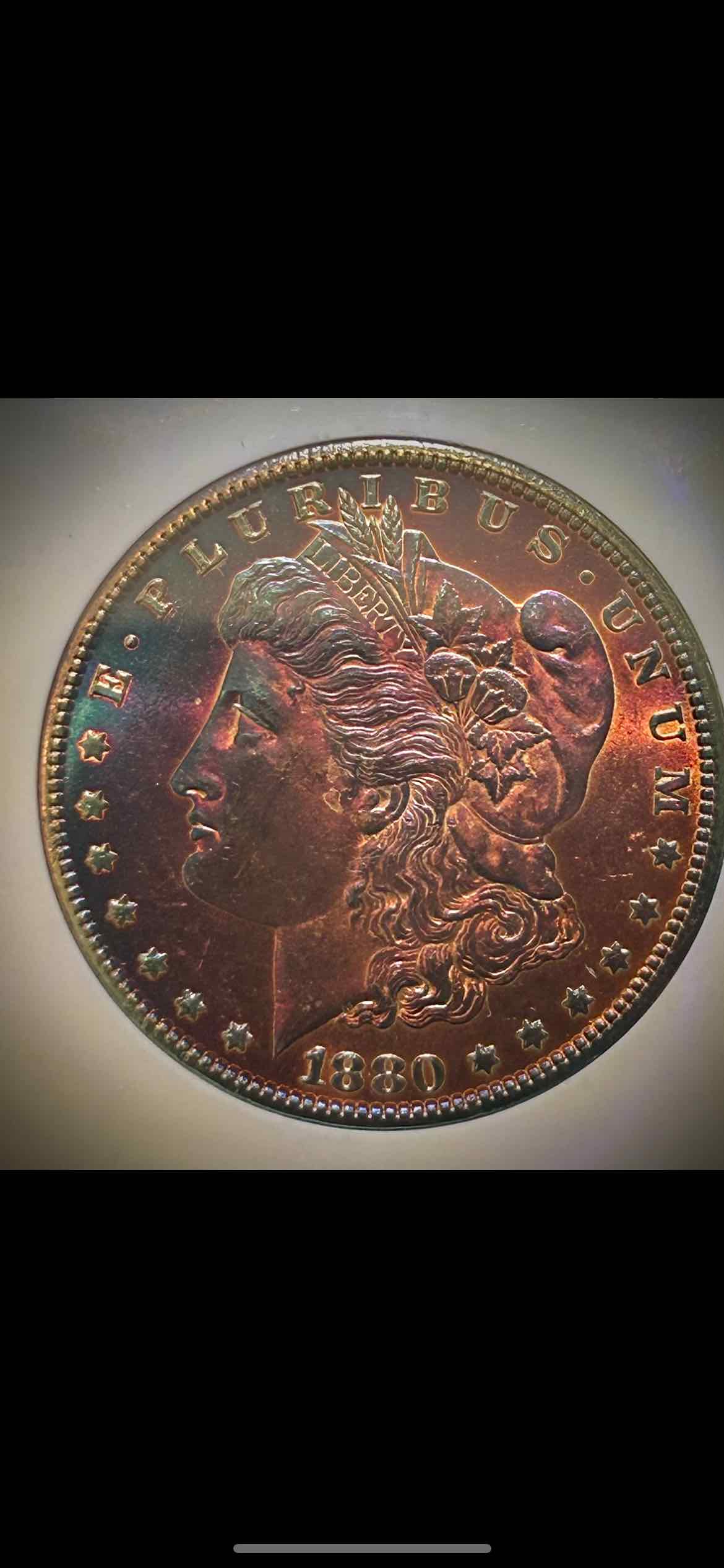 Needing-Advice-On-Grading-Morgan-Dollars