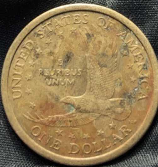 2000---P-Sacagawea-Possible-Reverse-Die-Aberration?-PMD?