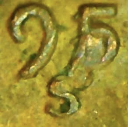 1952---S-LWC---Got-A-Strange-Error?-Die-Chip-With-A-Second-Mink-Mark?