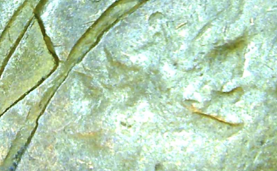 1899-Indian-Cent---Possible-Strike-Athrough