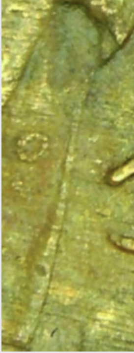 1939-Lincoln-Wheat-Cent-Button-On-Lincoln's-Lapel?