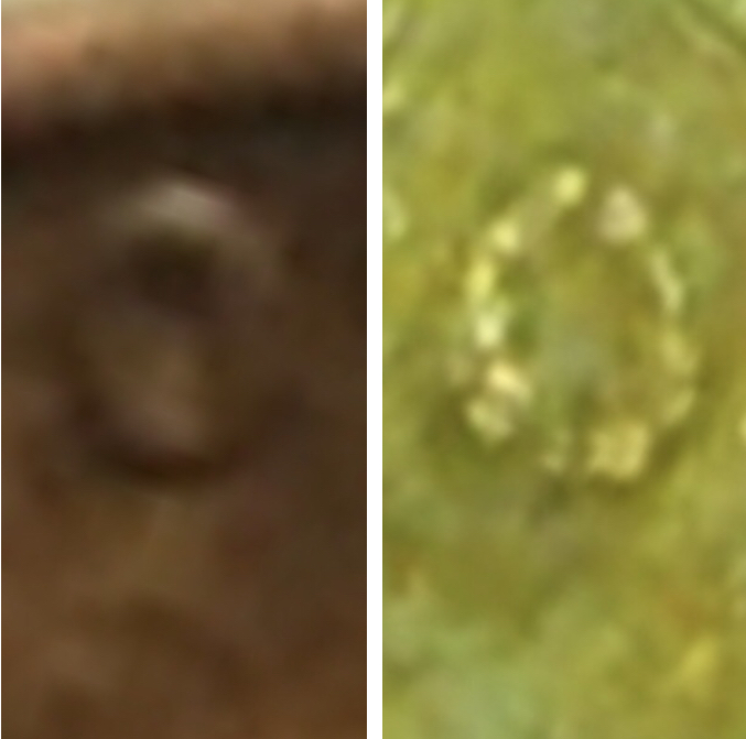1939-Lincoln-Wheat-Cent-Button-On-Lincoln's-Lapel?