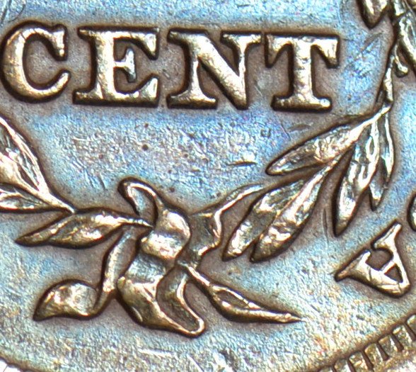 1855-Half-Cent-For-Your-Grading