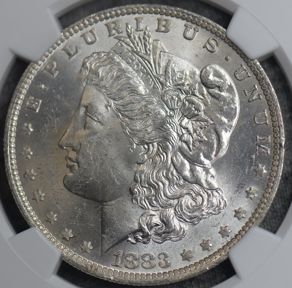 1883-O-Morgan-For-Grading.