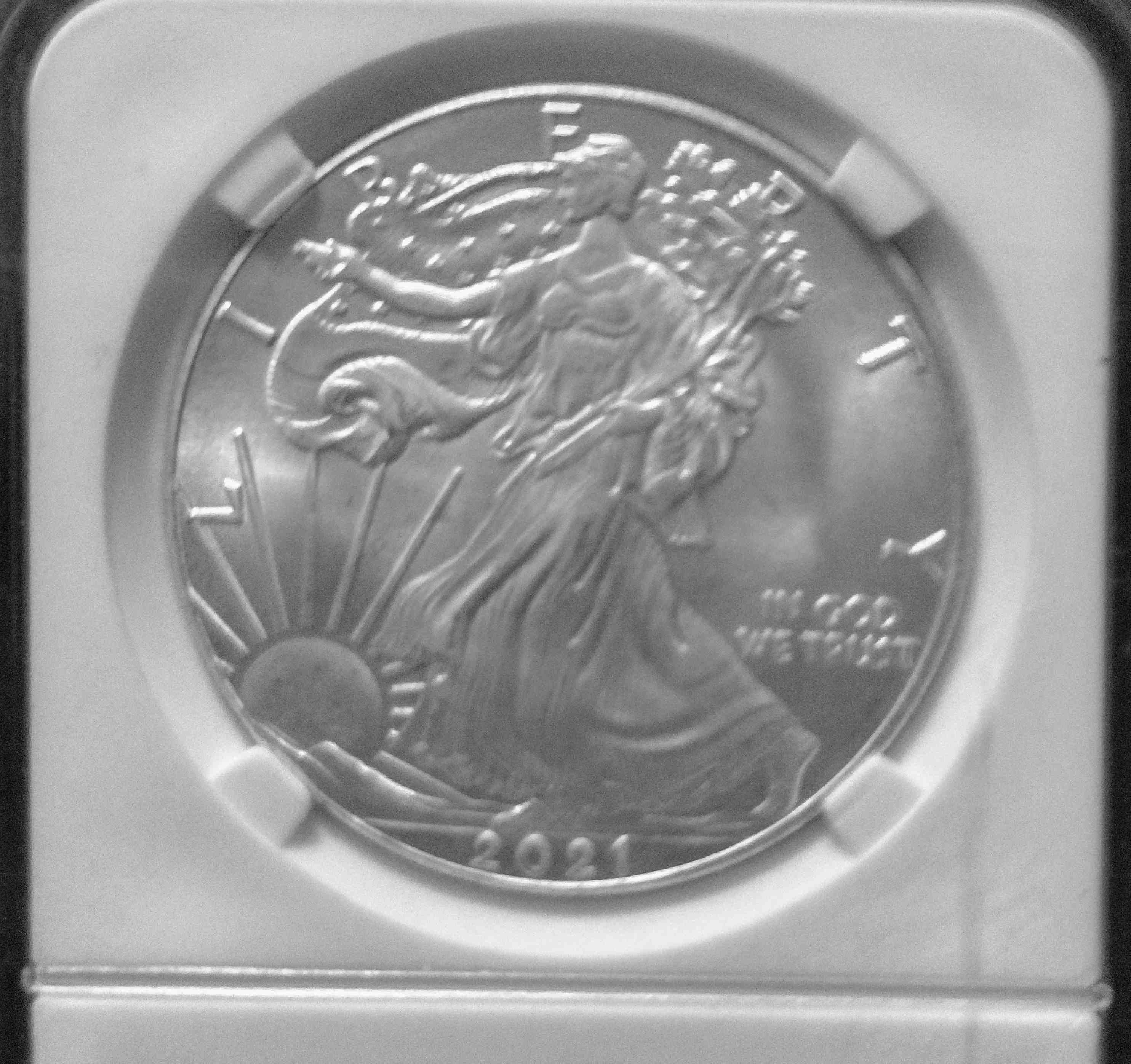 Any-Info-For-American-Silver-Eagle-Dollar,-Please.