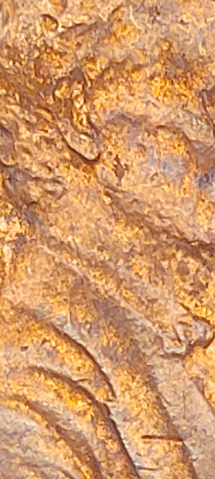 1983-D-Lincoln-Cent-Split-Die?