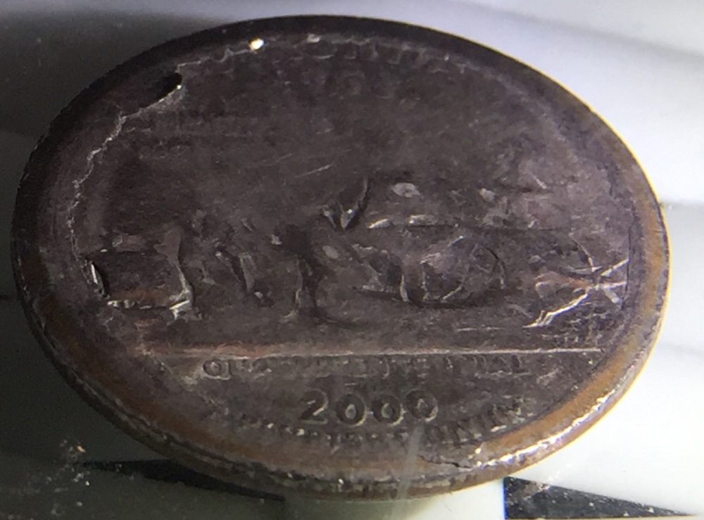 What-In-The-World-Happened-Here?-2000-P-Quarter