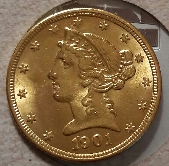 1901-S-$5-For-Grading-More-Pictures-Of-Hair-Detail