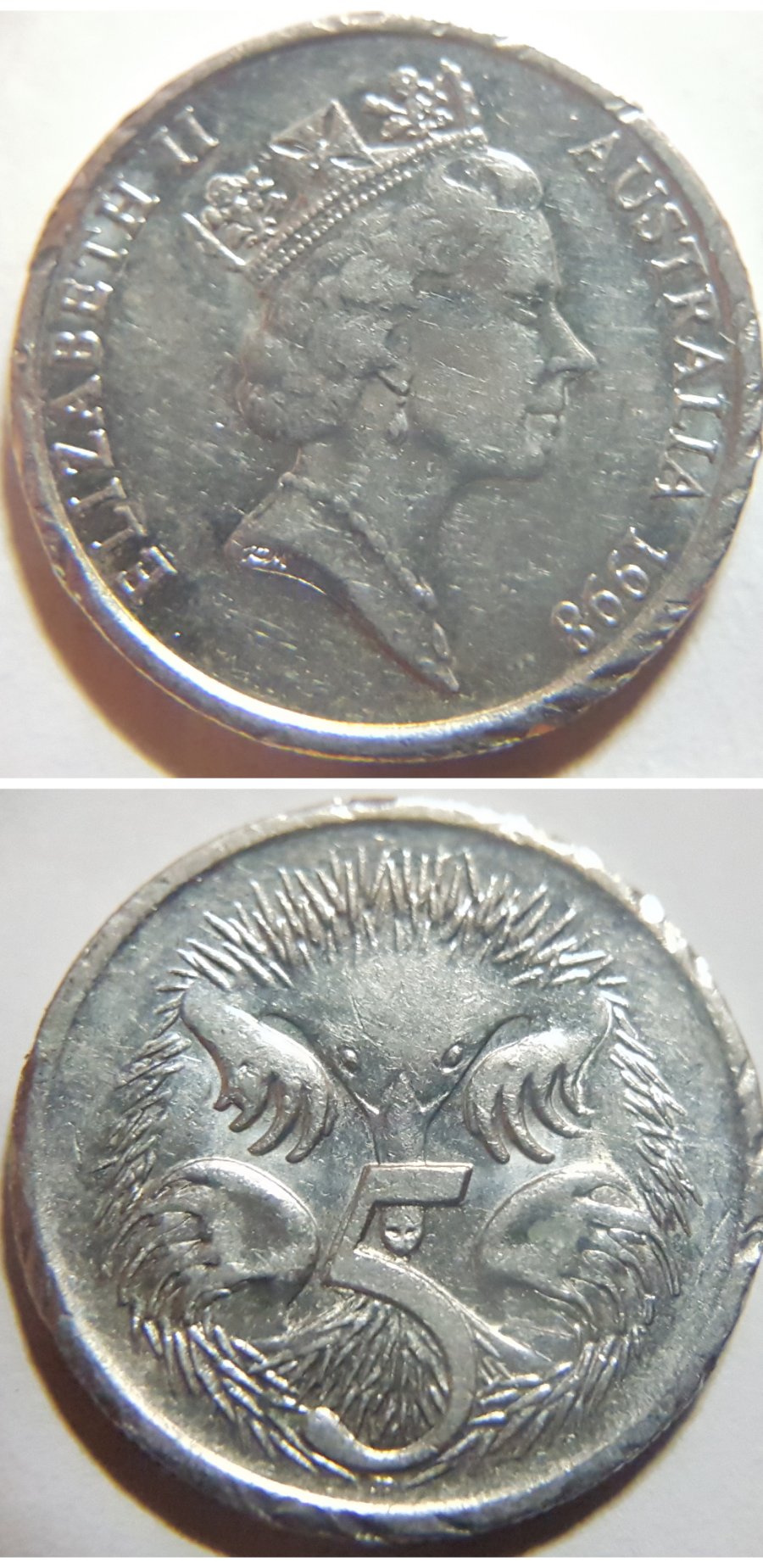 Post-Your-Australian-Circulation-Finds