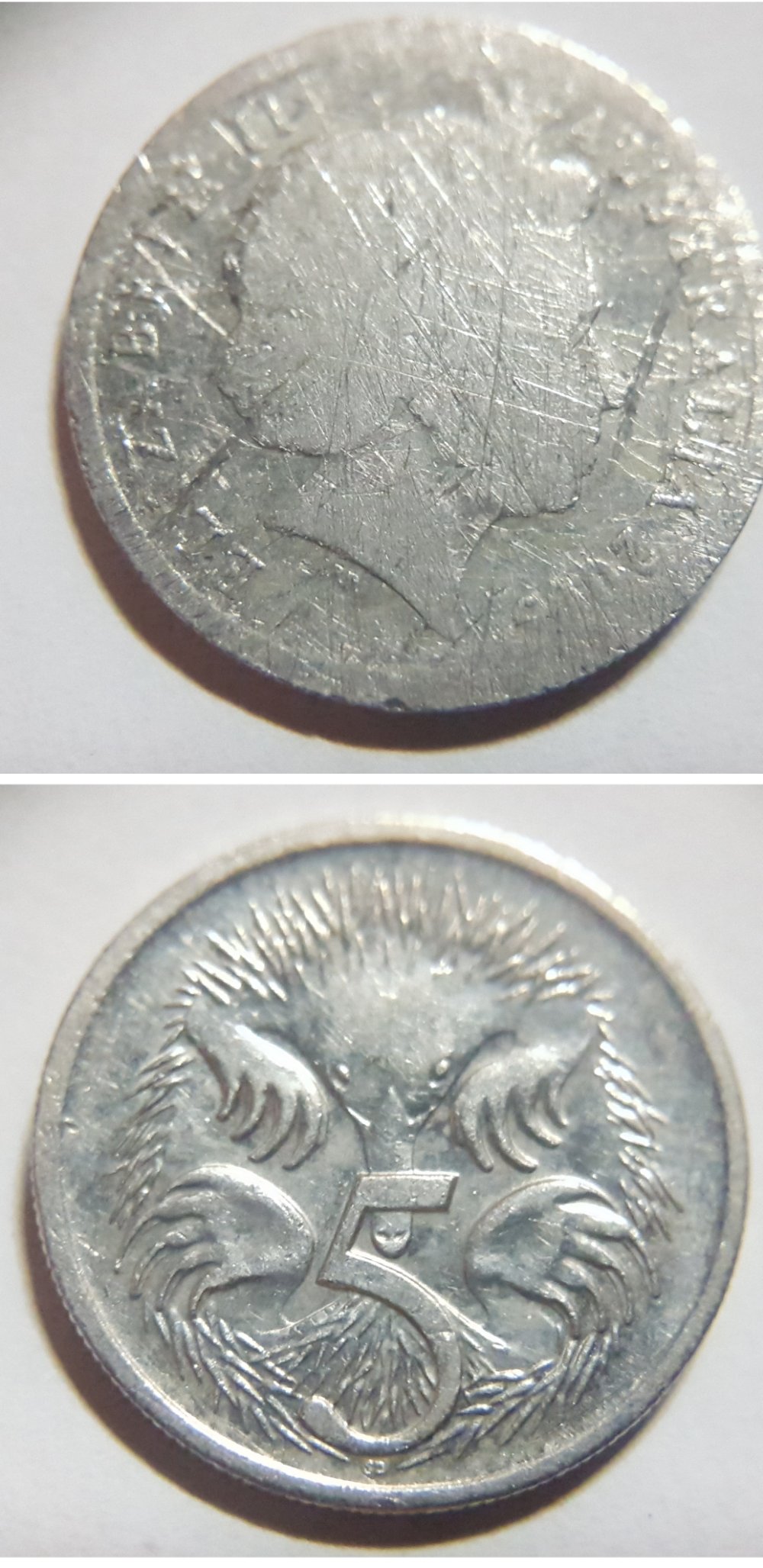 Post-Your-Australian-Circulation-Finds